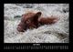 Thumbnail-11