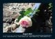 Thumbnail-12