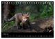 Thumbnail-8