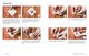 Thumbnail-9