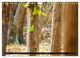 Thumbnail-9