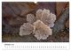 Thumbnail-12