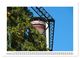 Thumbnail-13