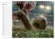 Thumbnail-8