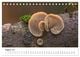 Thumbnail-10