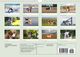 Thumbnail-13