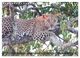 Thumbnail-14