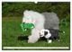 Thumbnail-12
