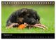 Thumbnail-11