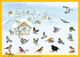 Thumbnail-2
