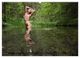 Thumbnail-11