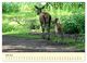 Thumbnail-11