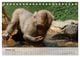 Thumbnail-12