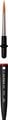 Thumbnail-2