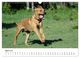 Thumbnail-9