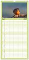 Thumbnail-9