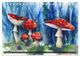 Thumbnail-14