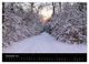 Thumbnail-13