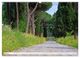 Thumbnail-10