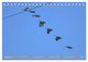 Thumbnail-13