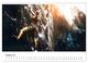 Thumbnail-13