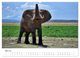 Thumbnail-9