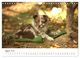 Thumbnail-13