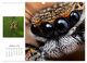 Thumbnail-14
