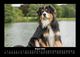 Thumbnail-12