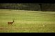 Thumbnail-10