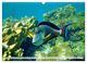 Thumbnail-14