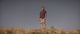 Thumbnail-10