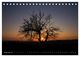 Thumbnail-11