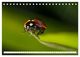 Thumbnail-11