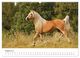 Thumbnail-10