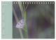 Thumbnail-10