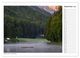 Thumbnail-14