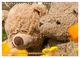 Thumbnail-14