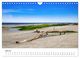 Thumbnail-9