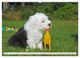 Thumbnail-12