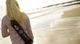 Thumbnail-11