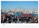 Thumbnail-8