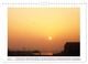 Thumbnail-11