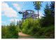 Thumbnail-11