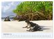 Thumbnail-11