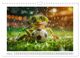 Thumbnail-10
