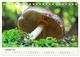 Thumbnail-14
