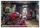 Thumbnail-14