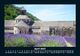 Thumbnail-8