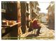 Thumbnail-13